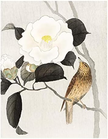 הדפסים הבוטניים היפניים / אמנות קיר פרחים מזרחית על ידי אינק אינק. / סט של 6 8 על 10 לא ממוסגר