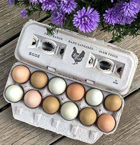 250 קרטוני ביצים-צרור ערך בתפזורת - עיצוב מודפס מקסים לביצים טריות בחווה, קרטון נייר ממוחזר, יציב וניתן לשימוש חוזר, מחזיק עד ביצי עוף