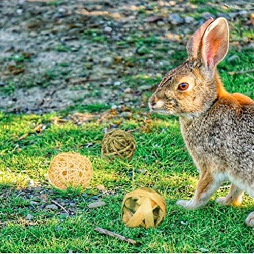 סטרוז 9 יחידות ארנבות טבעיות לועס כדור רטן פעילות בעלי חיים קטנים תוכי משחק צעצוע